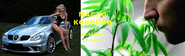 крисы Бородино