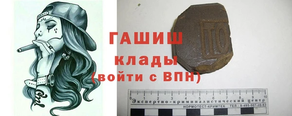 крисы Бородино