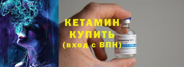 крисы Бородино
