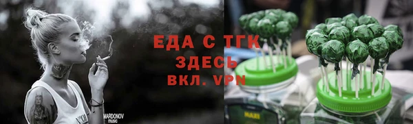крисы Бородино
