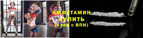 крисы Бородино