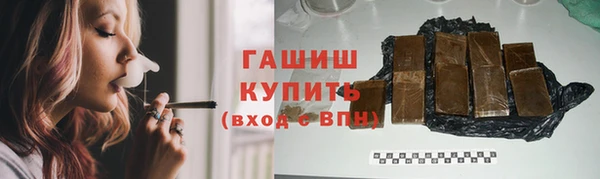 крисы Бородино