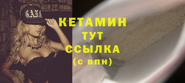 крисы Бородино