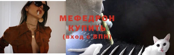 крисы Бородино
