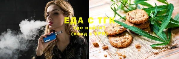 крисы Бородино