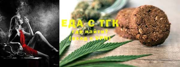 крисы Бородино